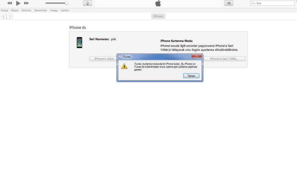 Kurtarma Modu.jpg Kurtarma Modu.jpg