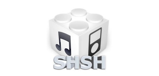 IMG_0335.JPG IMG_0335.JPG