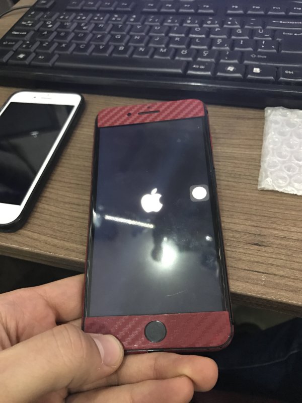 IMG_0133.JPG IMG_0133.JPG