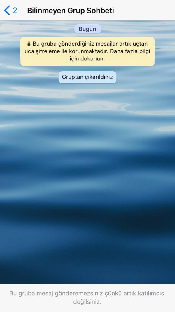 WhatsApp Image 2019-04-03 at 22.01.15.jpeg