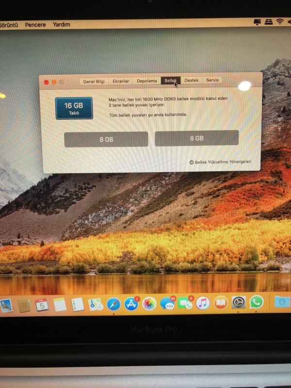 IMG_2800.JPG IMG_2800.JPG