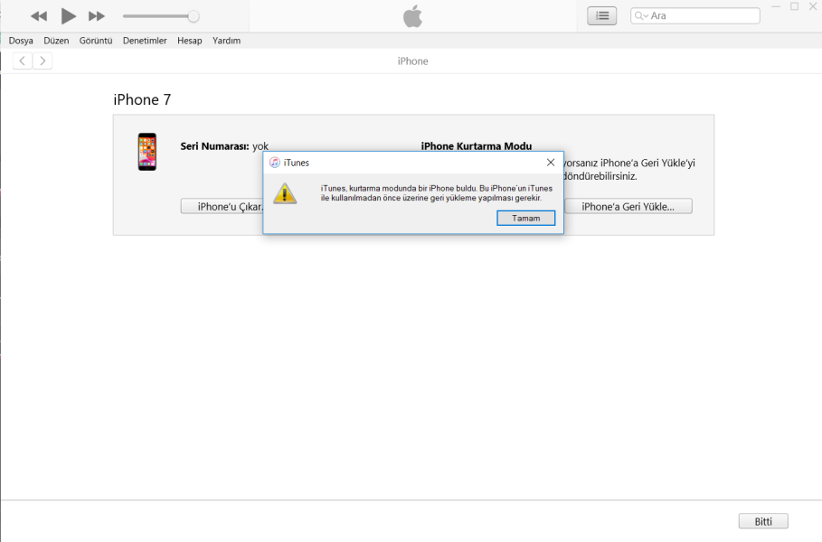 Ekran Alıntısı.PNG