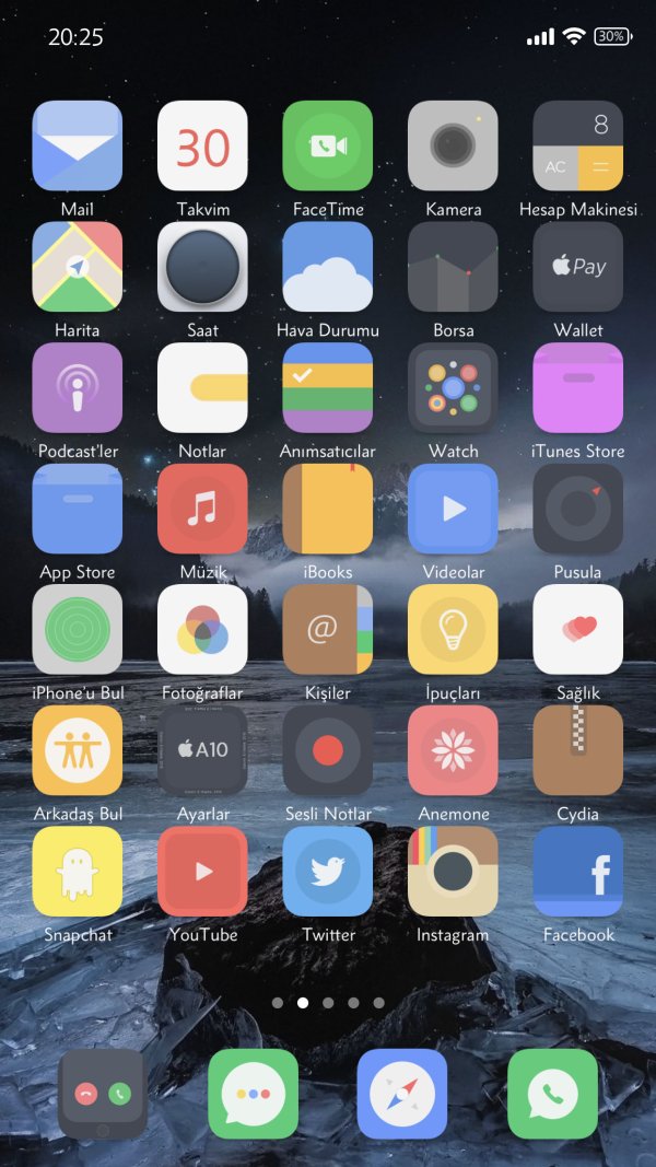 Gunnii 10 (1).jpg Gunnii 10 (1).jpg