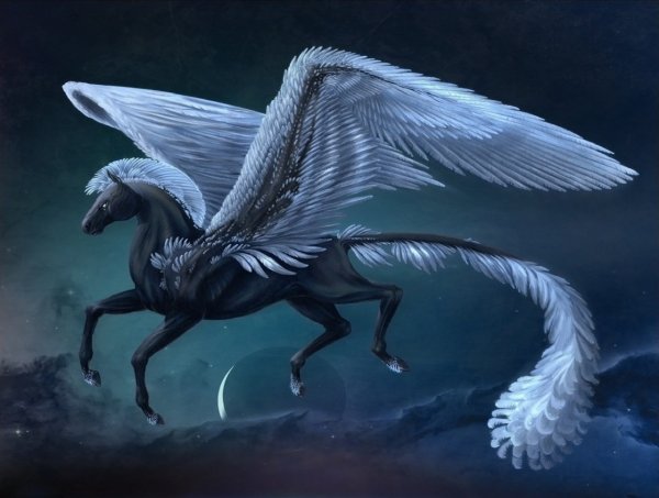 xdark-pegasus-wallpapers-for-android-On-HD-Wallpaper.jpg.pagespeed.ic.ZkJJ42JOQv.jpg