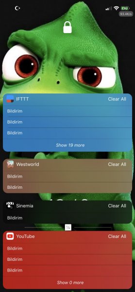 IMG_0040.jpg IMG_0040.jpg