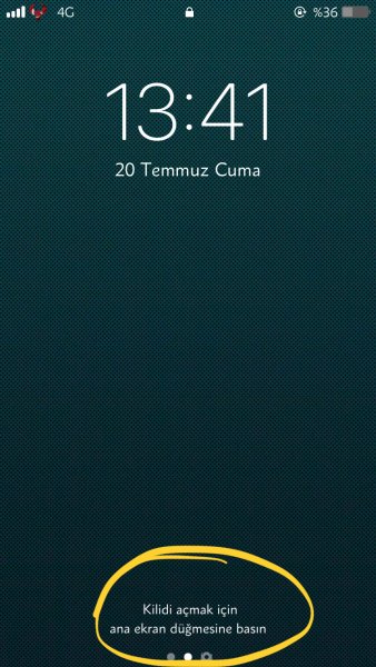 2018-07-20 13.41.05.jpg