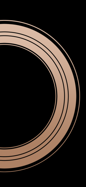 Black Gold Blank for iPhone X.png